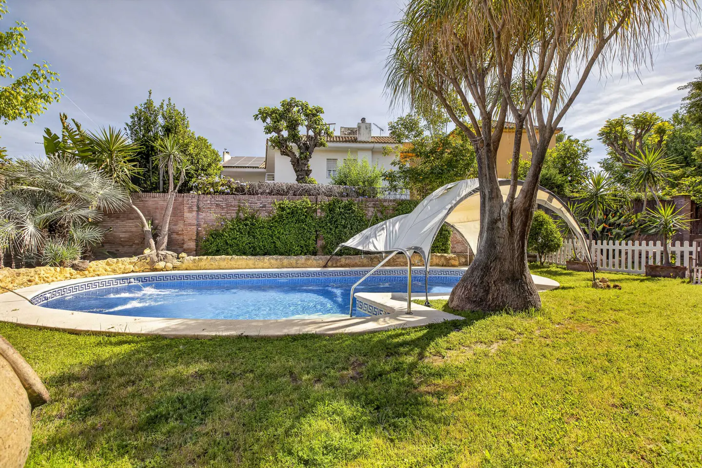 A backyard with a blue tiled pool, green grass, and a large tree with a white canopy.