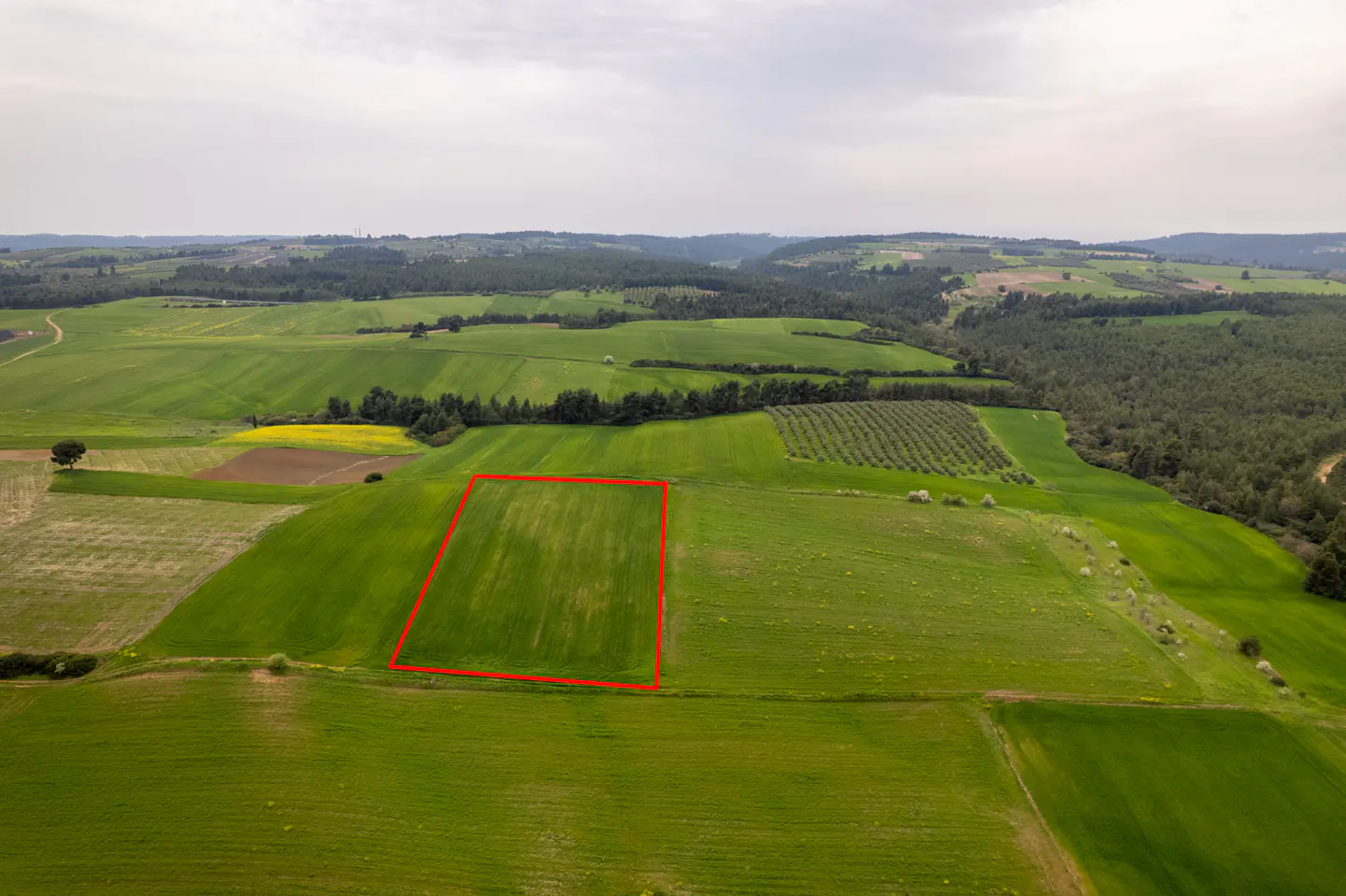 Aerial view of a green field with a red square outline, surrounded by trees and hills.