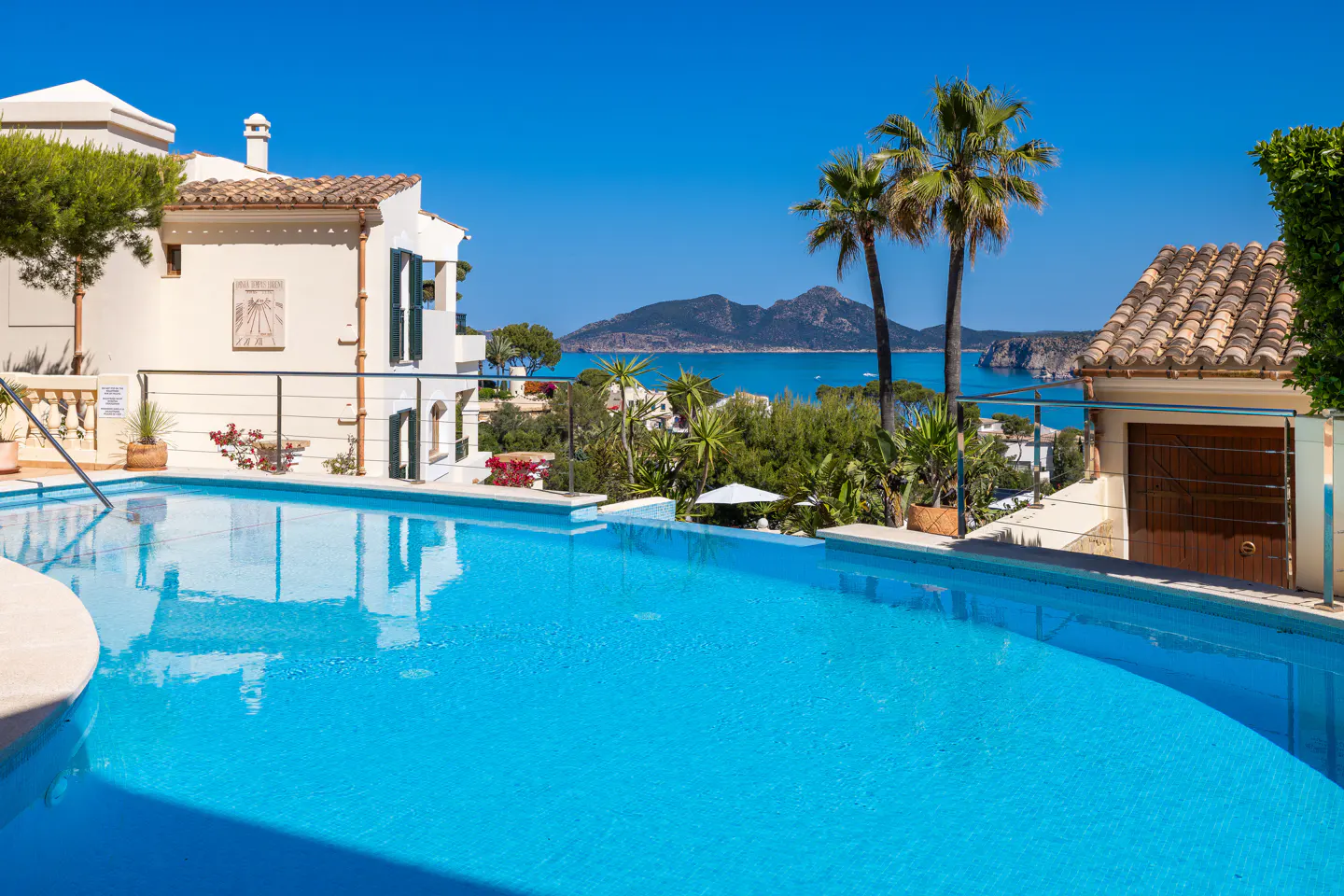 A bright blue pool overlooks the ocean, with palm trees and buildings in the background.