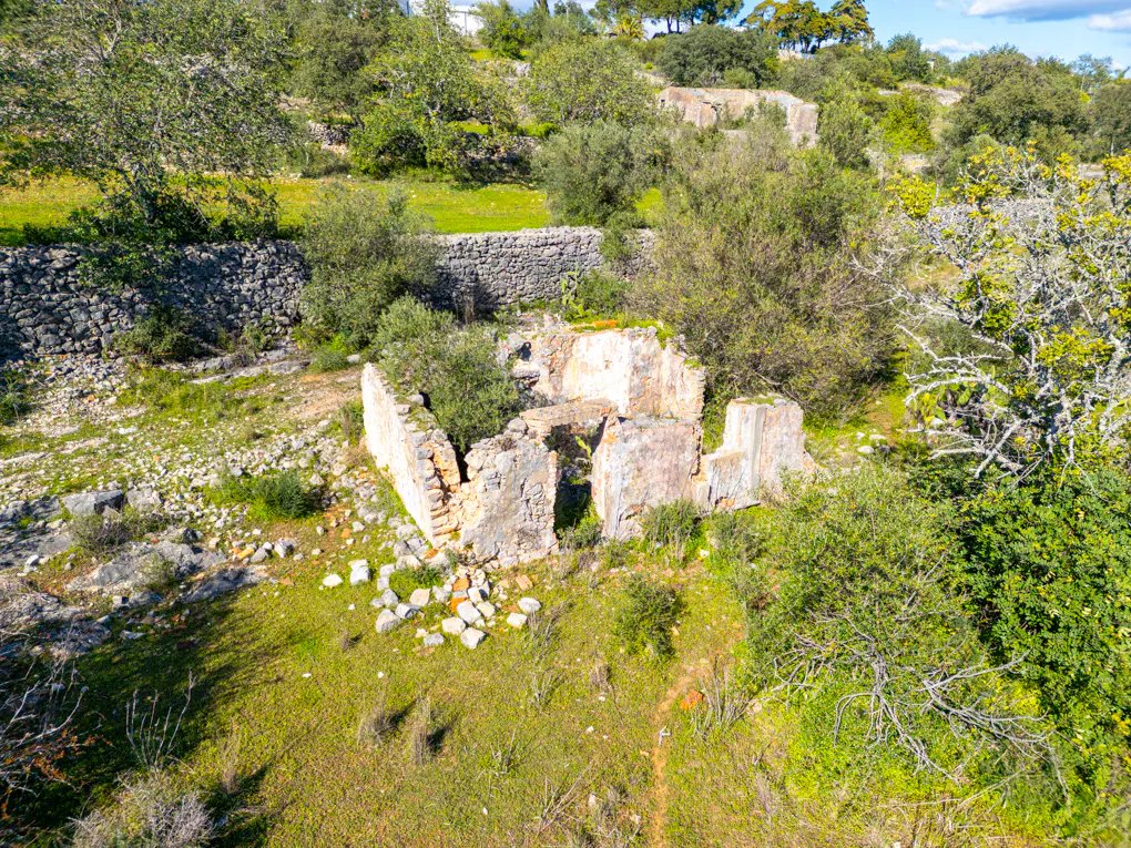 Stone ruins of a building sit on a grassy hill surrounded by trees and a stone wall.