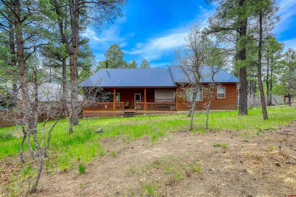 Exterior view of a wood cabin with a blue metal roof and a wooden porch surrounded by tall pine trees.