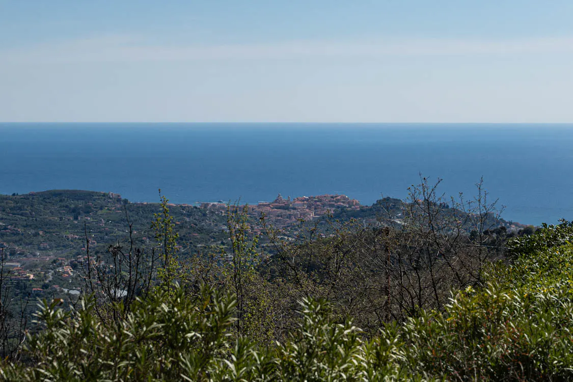 Scenic view of a coastal town nestled on a hillside, with the blue sea and sky in the background. Green foliage in the foreground.