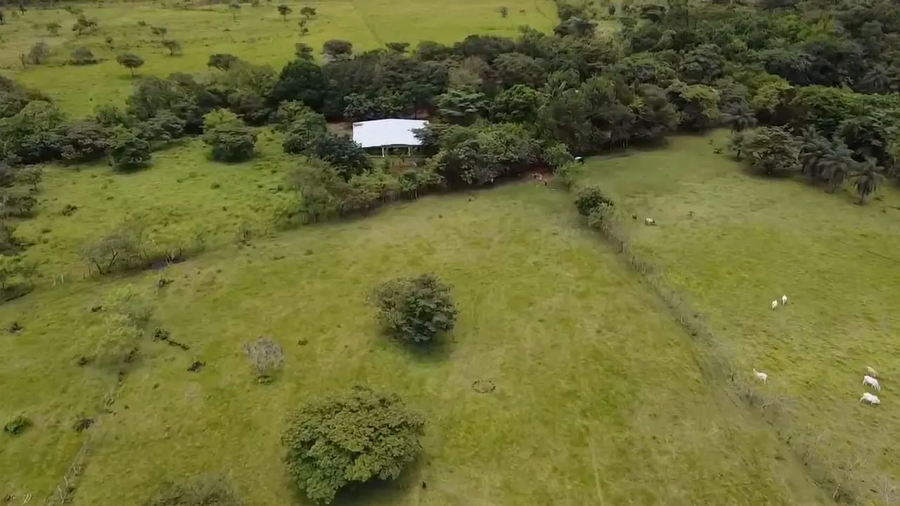 Aerial view of a green pasture with scattered trees, a white-roofed house nestled among trees, and cattle grazing in the distance.