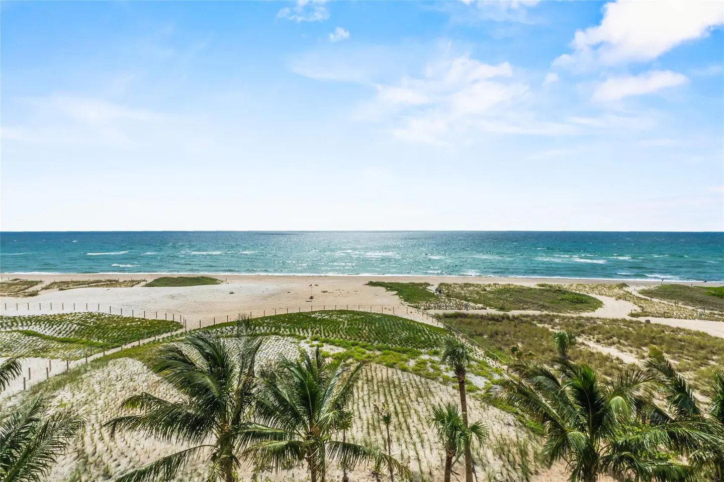 Beach view with palm trees, sand dunes, and ocean under a blue sky with clouds.