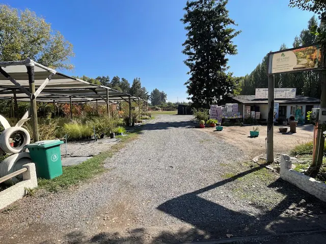 Gravel driveway leading to a plant nursery with a small building and covered plant displays on a sunny day.