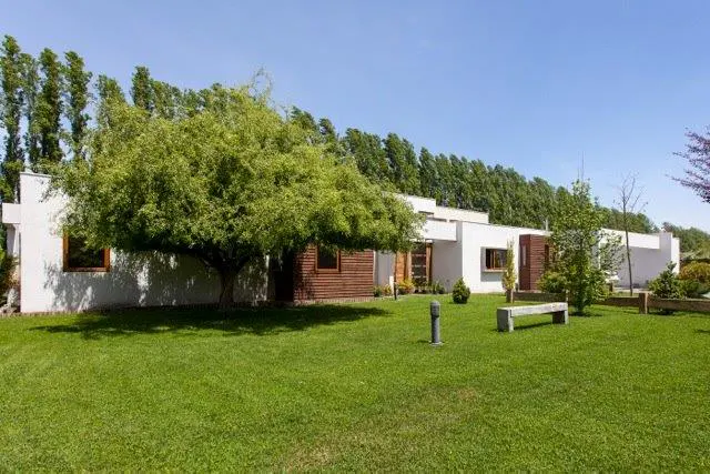 Modern white house with wood accents, a large green lawn, and a mature tree in the front yard. A bench sits on the grass.