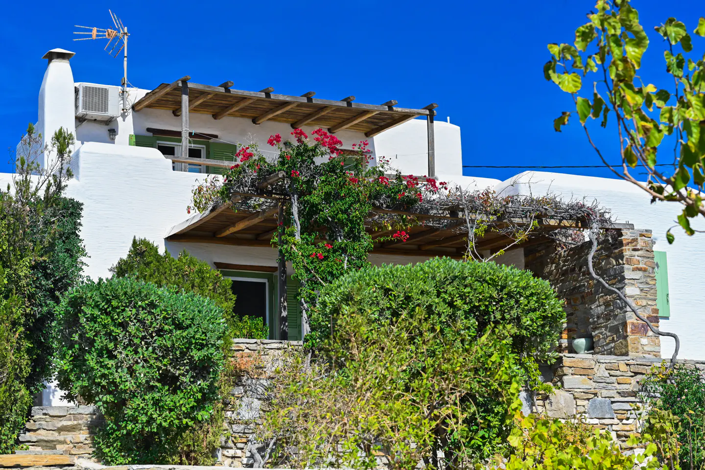 White stucco house with a wooden pergola covered in red flowers and green foliage, set against a bright blue sky.