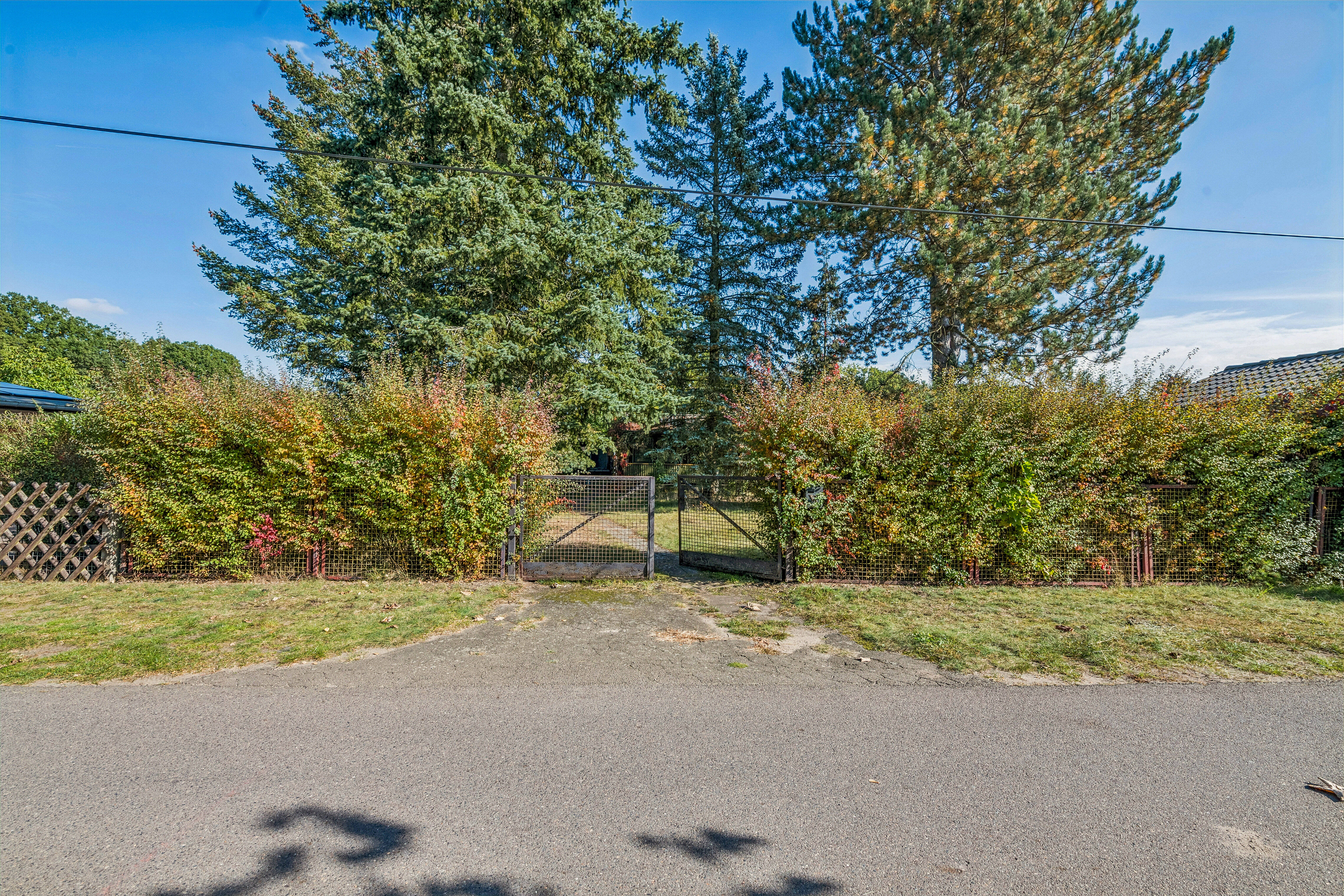 A paved driveway leads to an open metal gate surrounded by a tall, dense hedge and large evergreen trees under a blue sky. [AI-generated text]