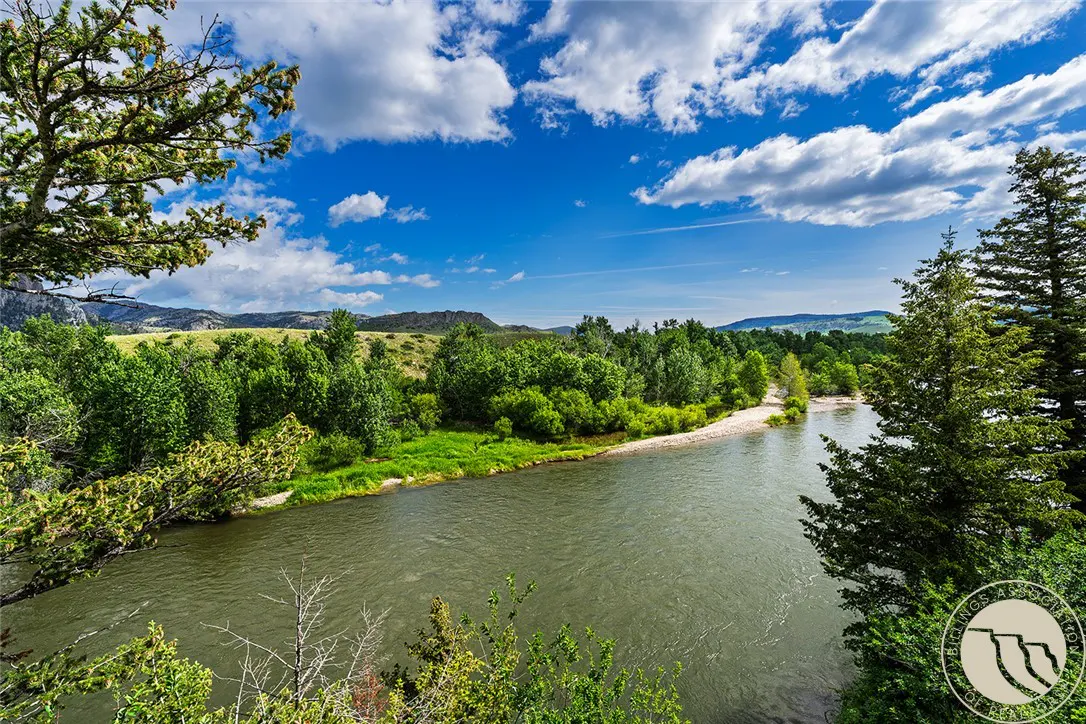 River view with green trees under a blue sky with white clouds.