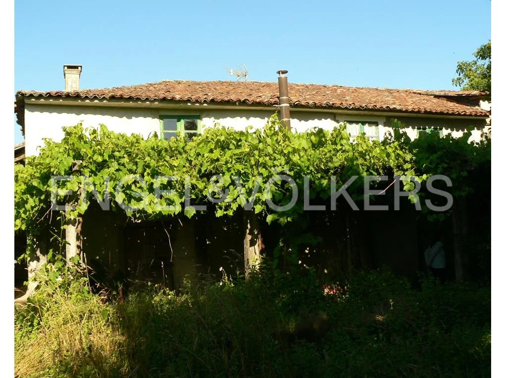 Stone farmhouse, completely in need to restoration, with 21.000m2 of land
