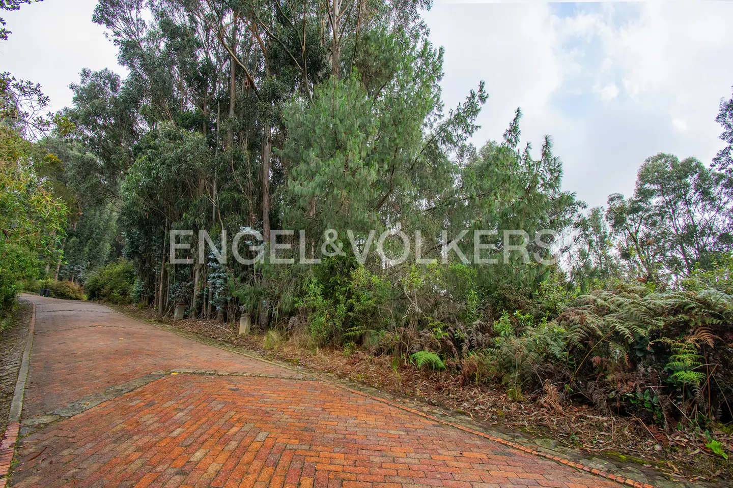 Brick path curves through lush green trees and ferns. Engel & Volkers logo is superimposed on the trees.