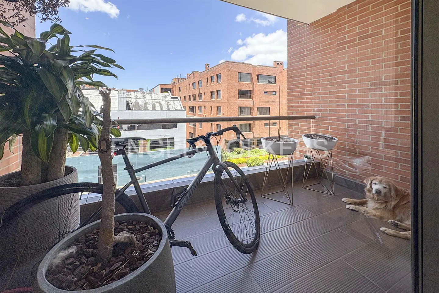 Balcony view with a gray bicycle, potted plants, and a golden retriever lying on the floor. Brick building in the background.