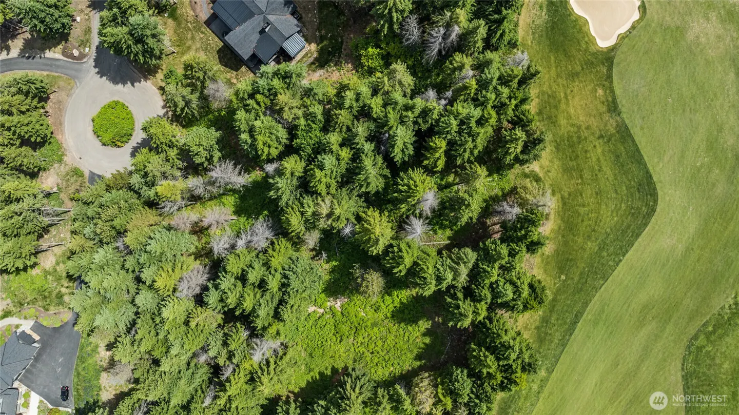 Aerial view of a wooded lot next to a golf course, with a house and cul-de-sac visible.