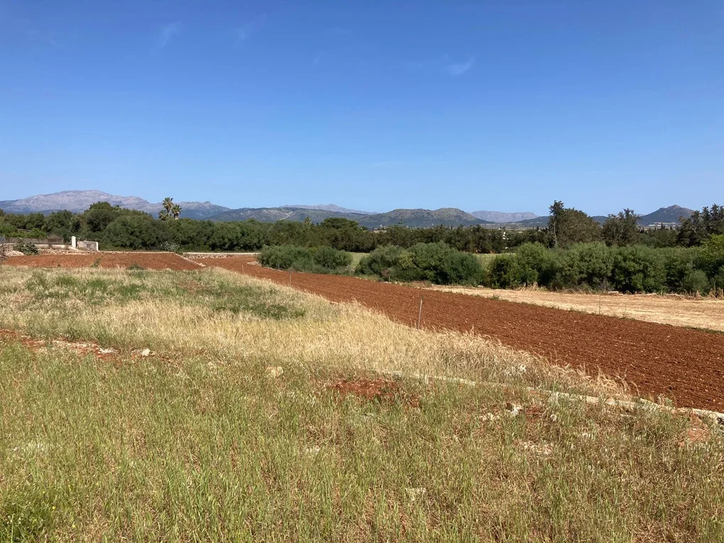 Rural land for sale in Muro