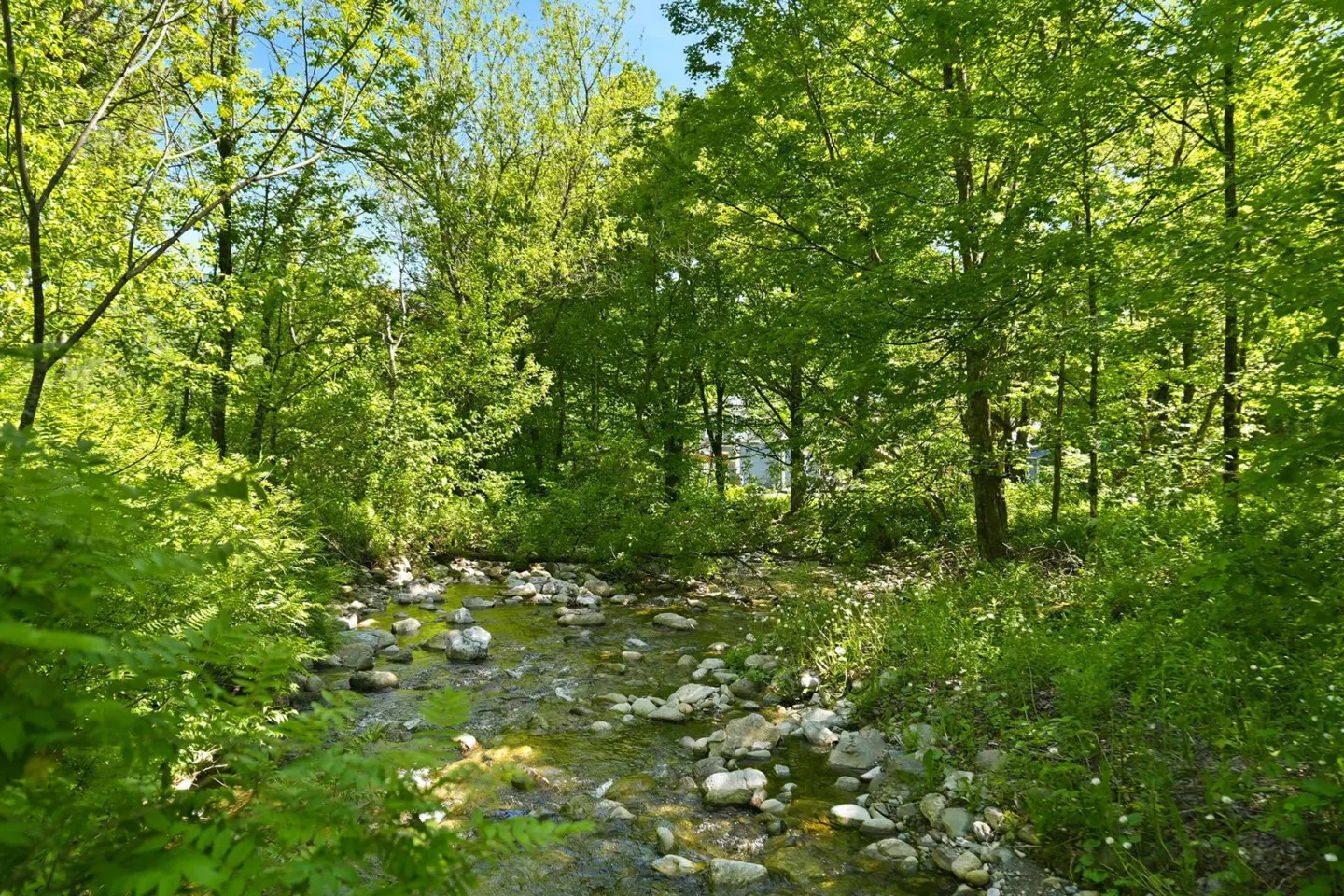 A shallow, rocky stream flows through a lush, sunlit forest with vibrant green trees and foliage under a clear blue sky.
