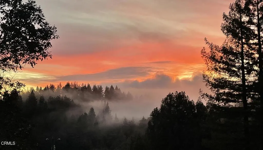 A scenic view of a forest with fog and a vibrant orange and pink sunset sky.