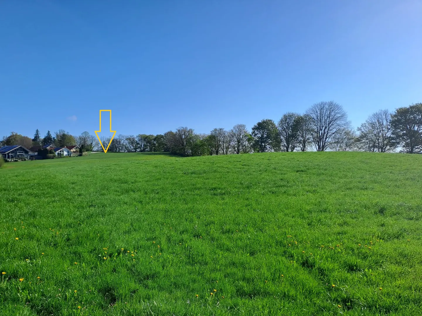 A grassy field under a blue sky, with a yellow arrow pointing to the center. Trees line the horizon. Houses are visible in the distance.