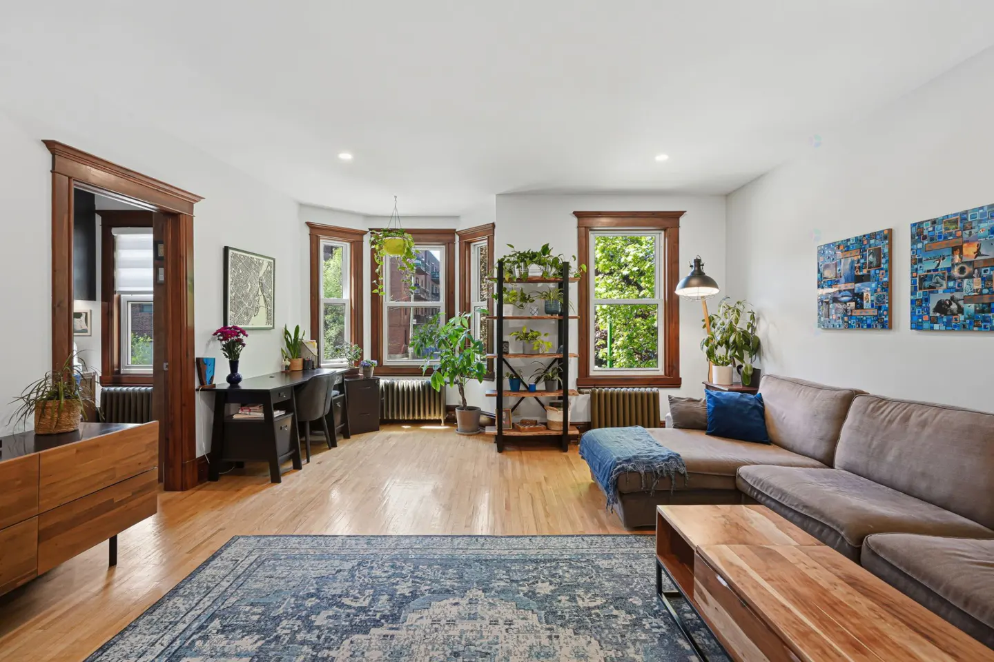 Bright living room with hardwood floors, a grey sectional sofa, blue area rug, desk, and several indoor plants.