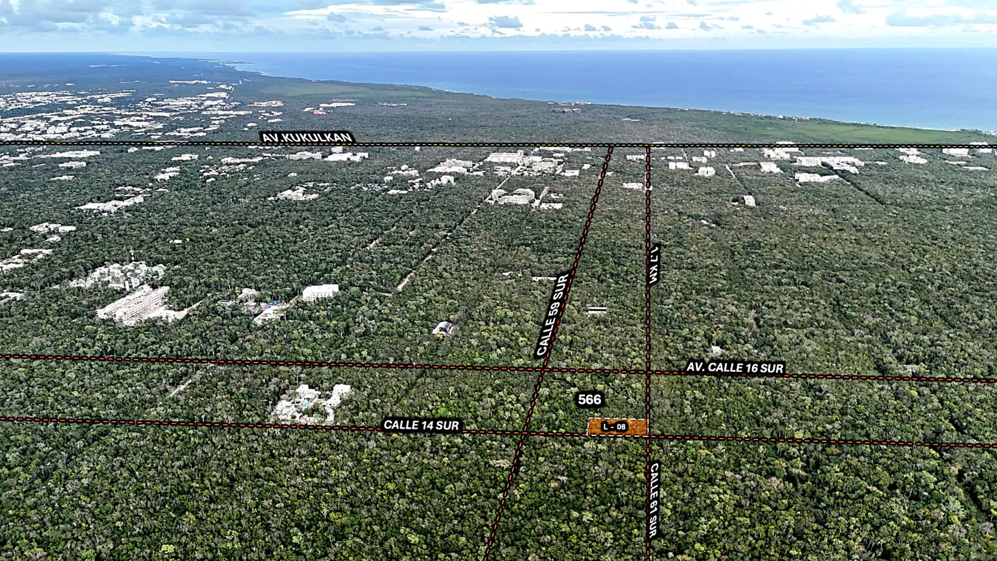 Aerial view of a lush green forest with roads and property lines marked, near the ocean.