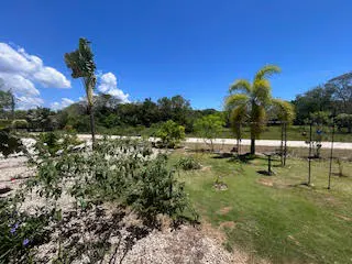 Lush green lawn with palm trees under a bright blue sky. Bushes and trees line the background. Bird feeders are scattered throughout the yard.