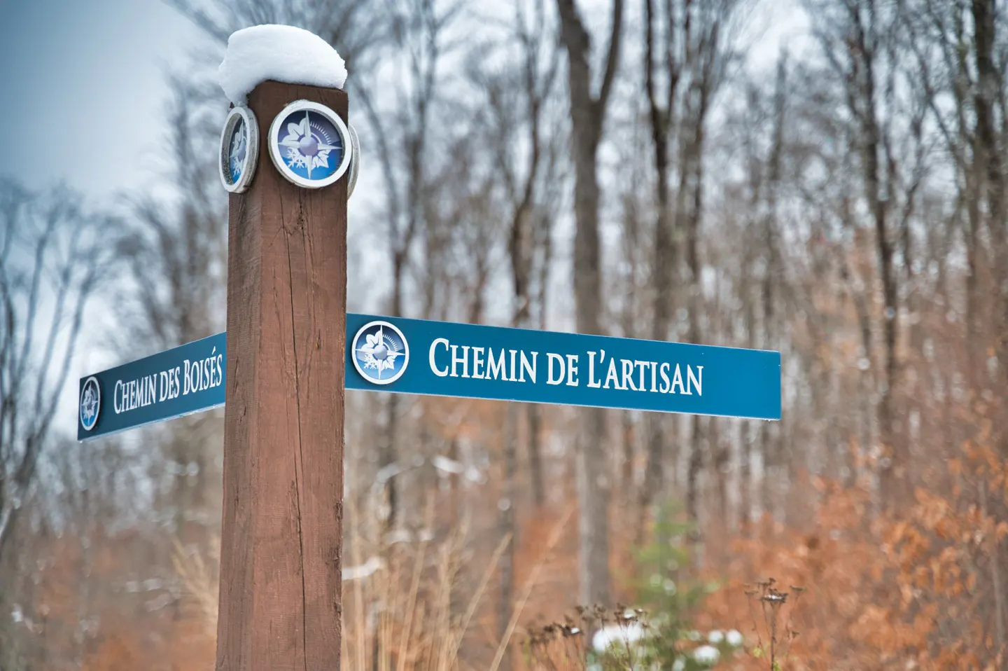 A wooden signpost with snow on top, pointing to "Chemin de l'Artisan" and "Chemin des Boisés" in a winter forest.