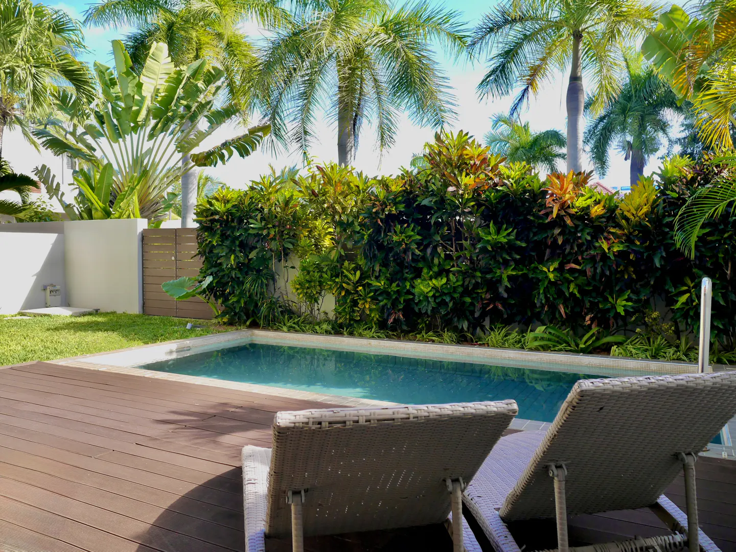 A backyard pool with two lounge chairs on a wooden deck, surrounded by lush green plants and palm trees.