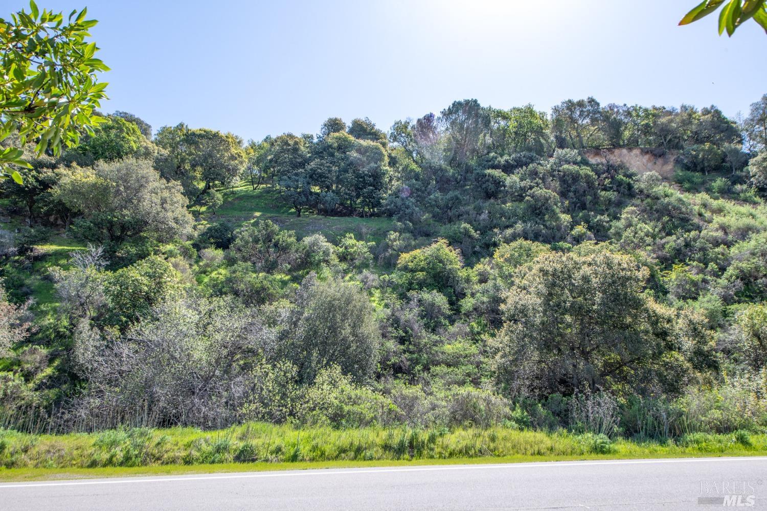 Sunny Oaks Sanctuary: Build Your Dream Home