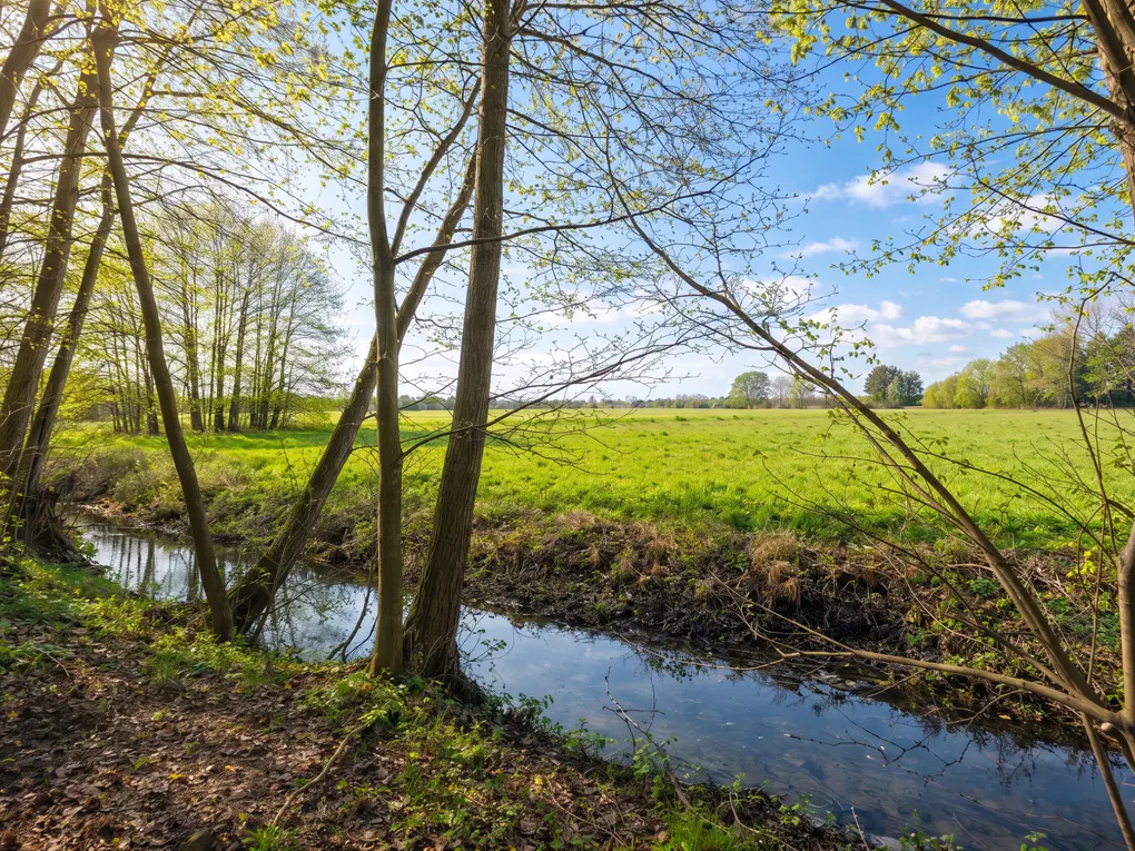 A small stream flows through a green field, framed by trees under a blue sky with clouds.