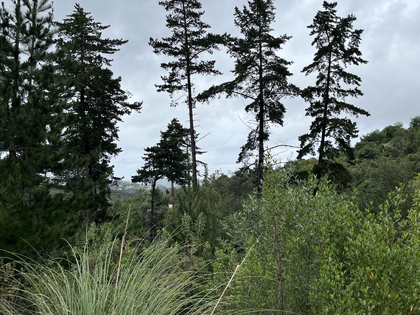 Prime Simola Valley Stand with Forested Valley Views