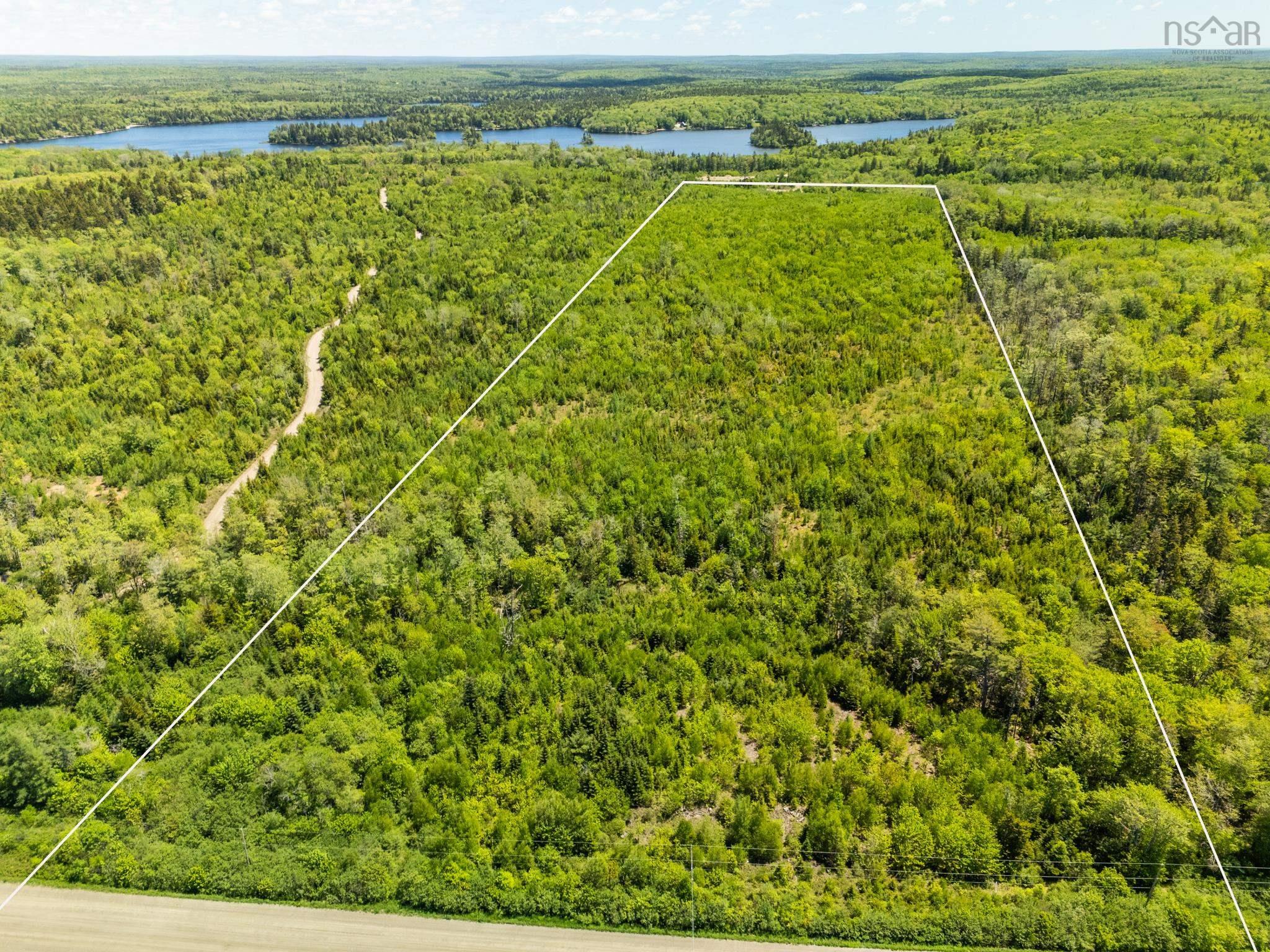 38.72 Acres with 633 Feet of Road Frontage
