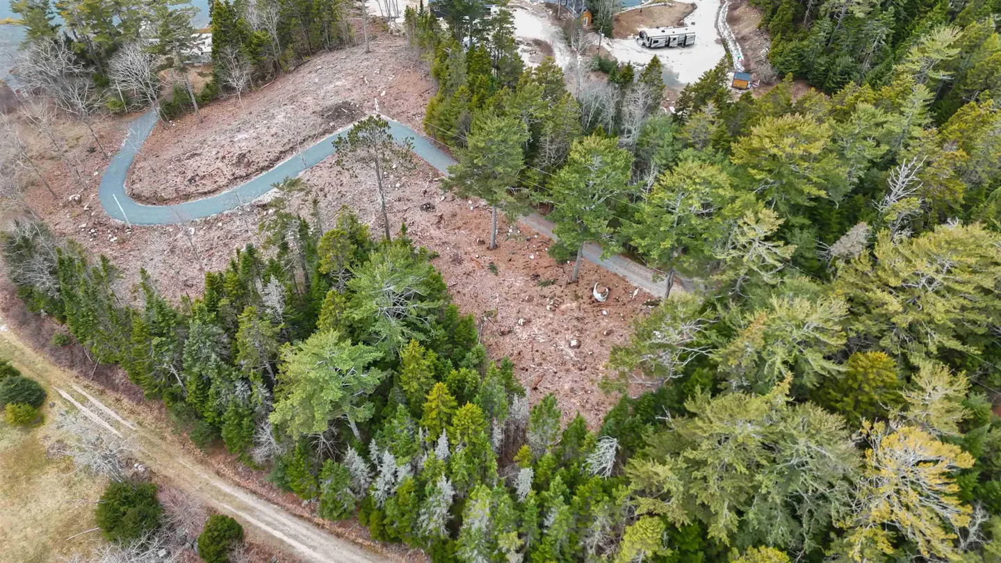 Aerial view of a wooded lot with a winding paved driveway, some cleared land, and a glimpse of a building in the background.