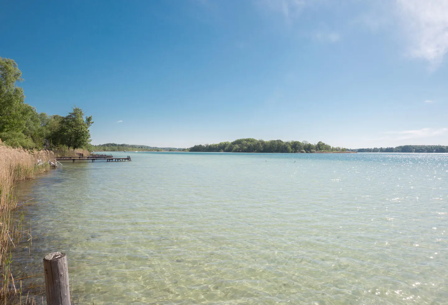 Scenic view of a clear lake under a blue sky, with reeds and trees on the shore and a small dock in the distance.