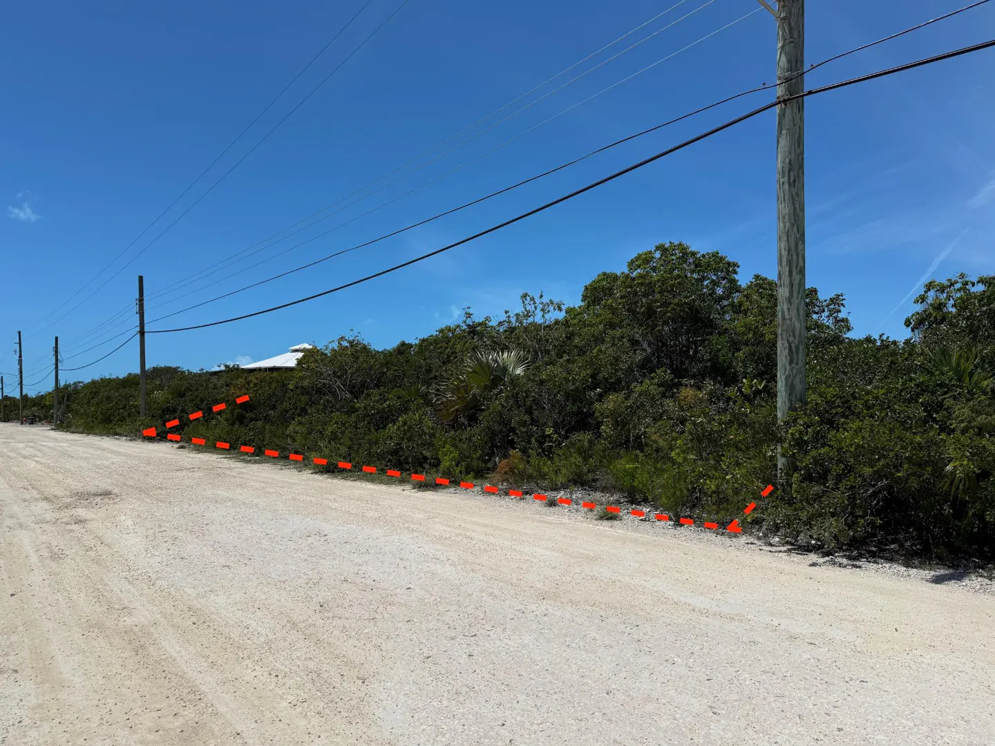 Vacant lot with dense green foliage and a red dotted line marking the property boundary, next to a dirt road under a blue sky.