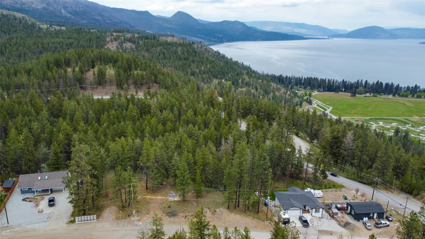 Aerial view of homes nestled in a forest, with a lake and mountains in the background.