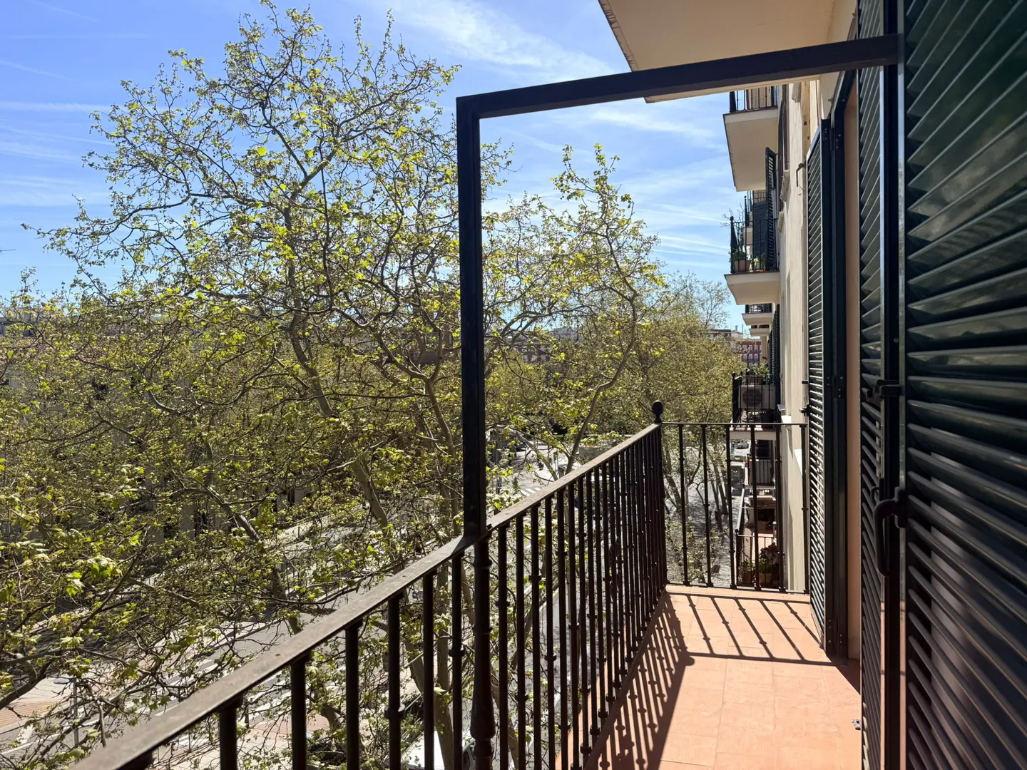 View from a balcony with black iron railings, overlooking trees and a street on a sunny day. Green shutters are partially open.