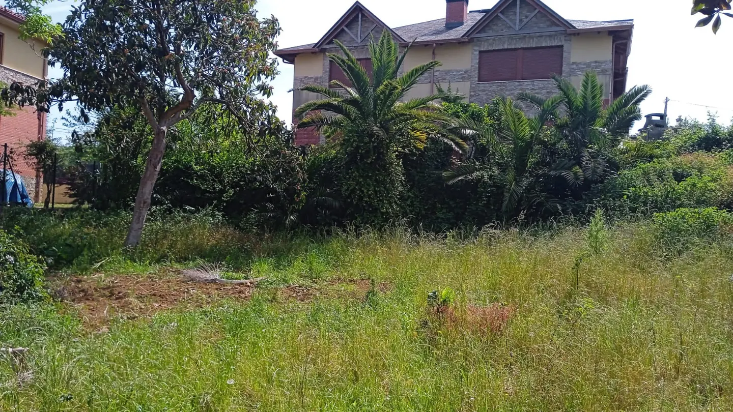 Overgrown lot with tall grass and trees, a house with brown shutters is in the background.