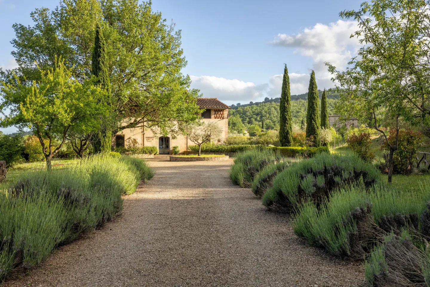 Gravel path leads to a stone house with trees and lavender bushes on a sunny day.