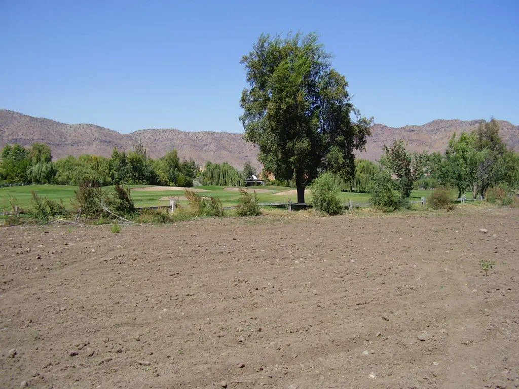 A sunny view of a brown field, green golf course, trees, and mountains under a clear blue sky.