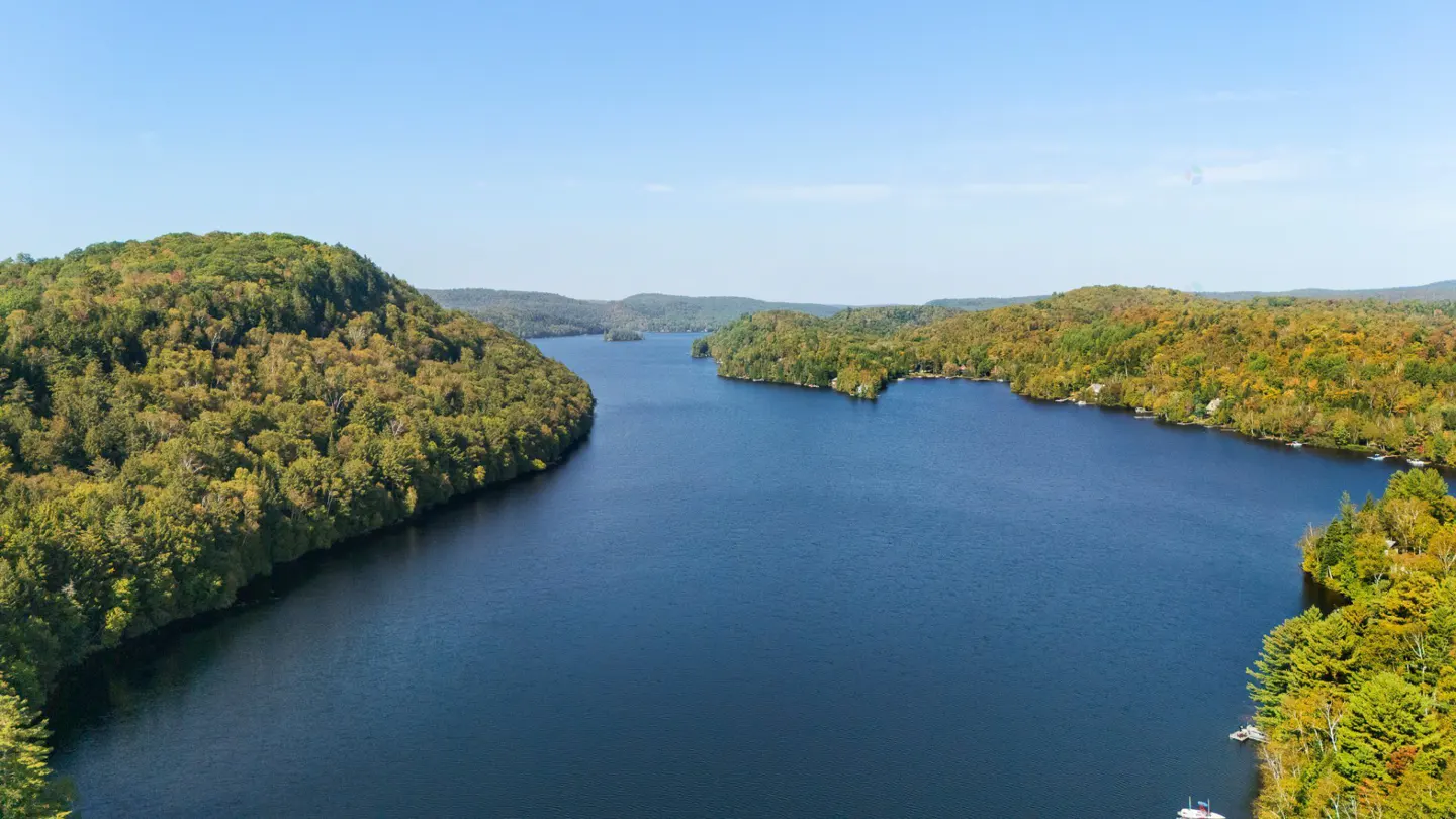 Aerial view of a blue lake surrounded by green and yellow trees under a clear blue sky.