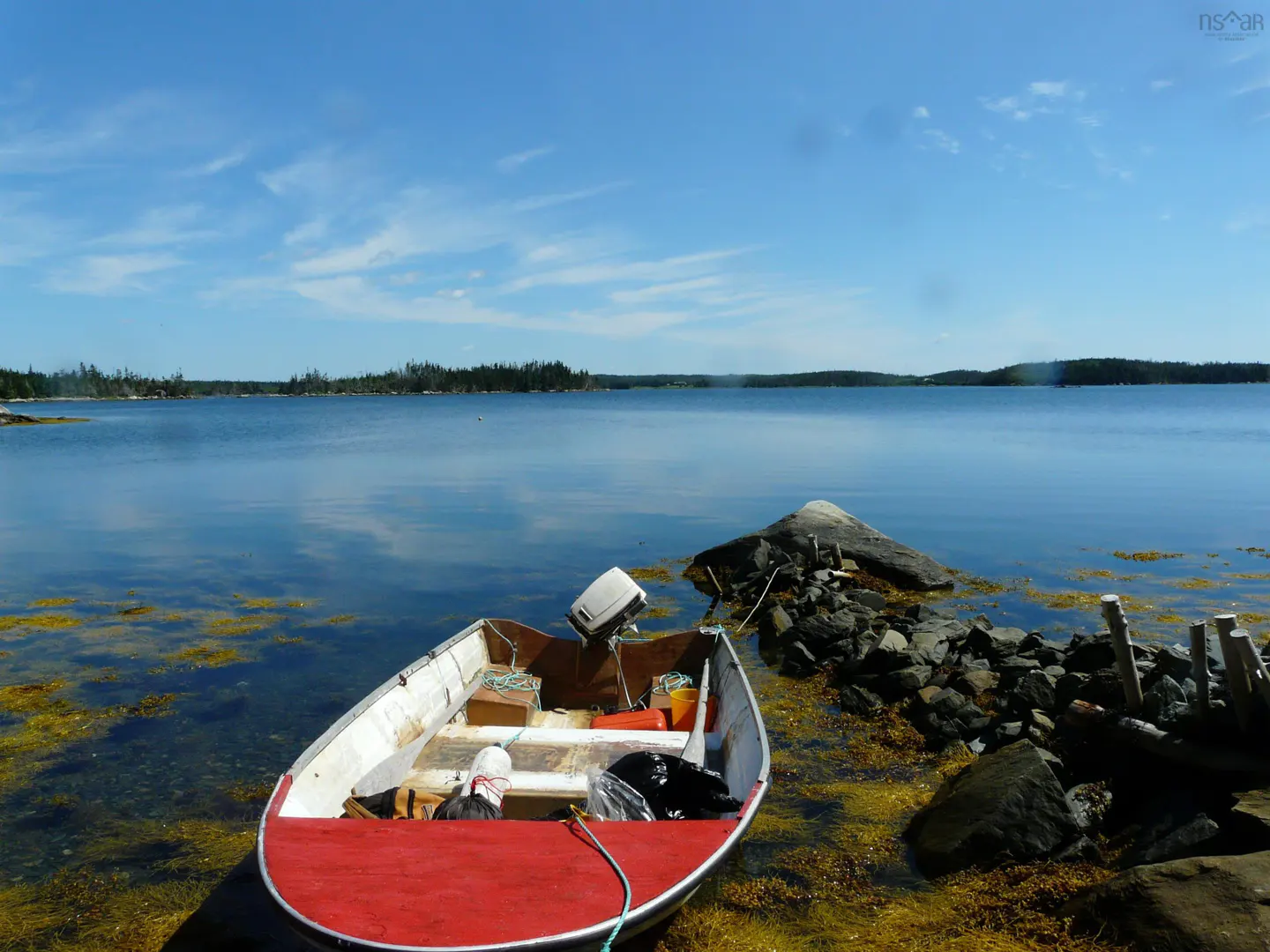 A small boat with a red bow sits in shallow, seaweed-filled water near a rocky shore under a clear blue sky.