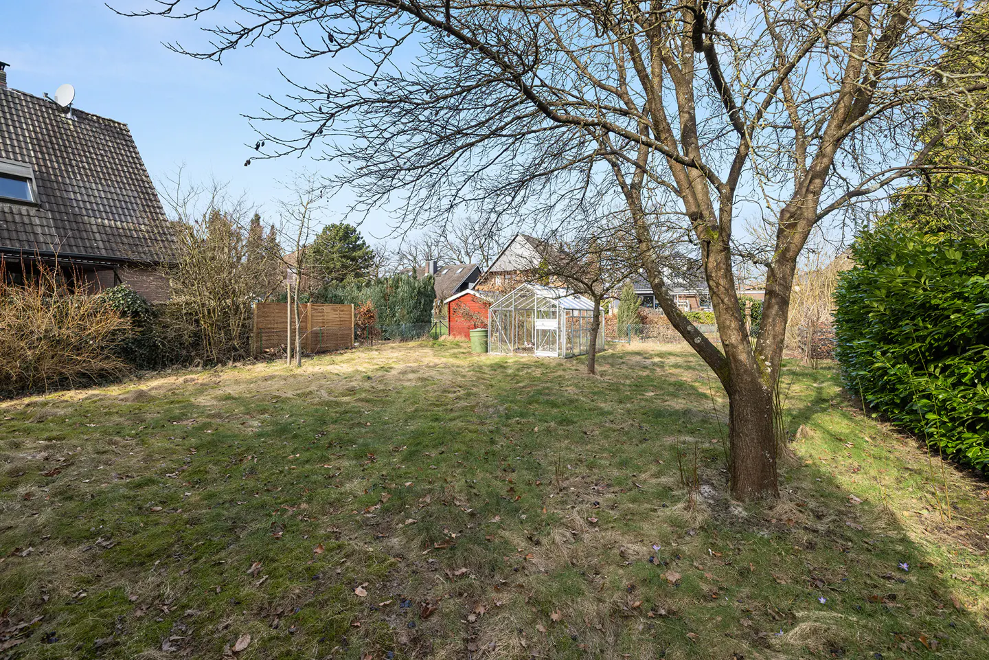 A backyard with a lawn, a greenhouse, and a tree with bare branches under a blue sky.