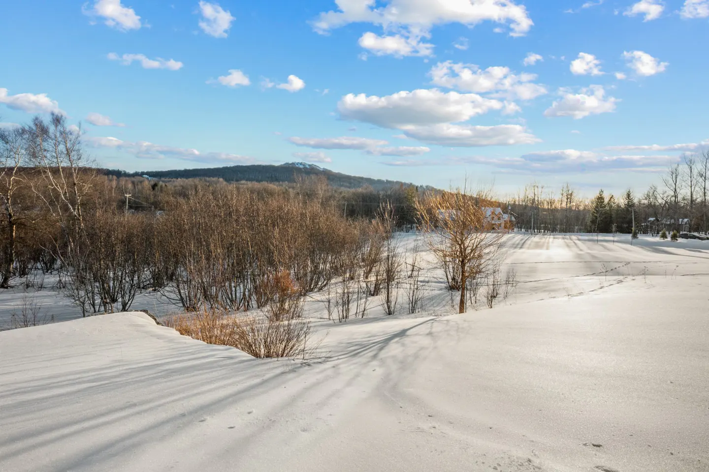 Snowy landscape with trees and a distant mountain under a blue sky with white clouds.