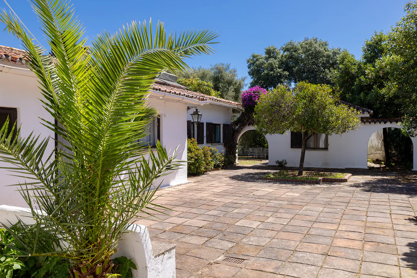 A sunny courtyard with stone tiles, white walls, a palm tree in the foreground, and arched walkways under a blue sky.
