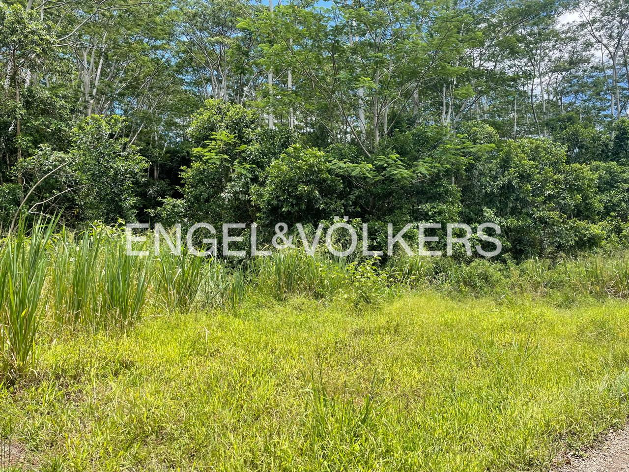 For Sale - Agricultural land in Chamarel