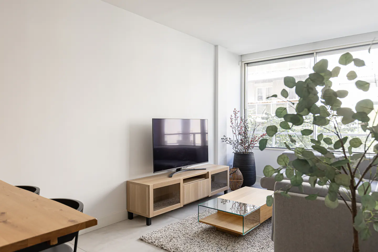Modern living room with a light wood media console, flat-screen TV, glass coffee table, and a large indoor plant.