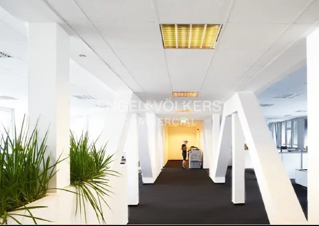 Office interior with black carpet, white walls, and angled white support beams. A woman stands by a printer in the background. Green plants in the foreground.