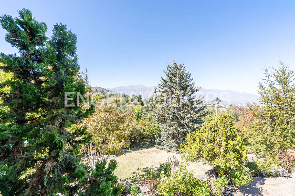 Lush green garden with trees and grass under a clear blue sky, mountains in the distance.
