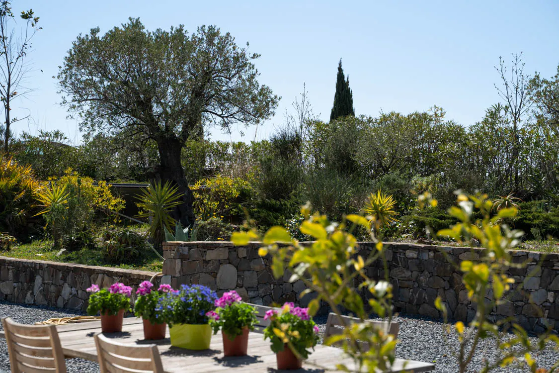Outdoor dining area with potted pink and blue flowers on a wooden table. Stone wall and lush green trees in the background.
