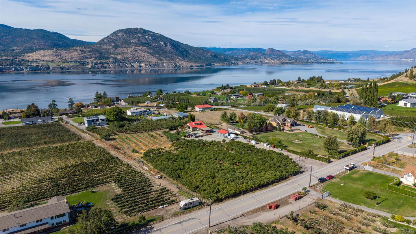Aerial view of a vineyard with rows of grapevines, houses, and a lake with mountains in the background on a sunny day.
