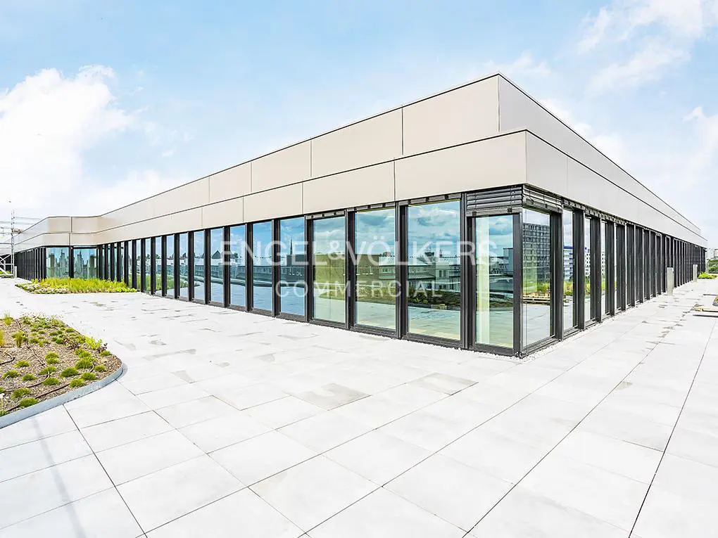 Modern commercial building with large windows and a white tiled patio under a blue sky.